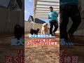 愛犬に無視される、、、飼い主のそばに居てくれるようになる練習 #ドッグトレーニング #犬のしつけ