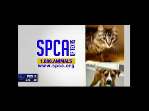 horseshoe bend Adopt Chica!
