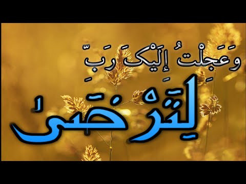وعجلت إليك رب لترضى رعد الكردي حالات واتس اب قران سورة طه