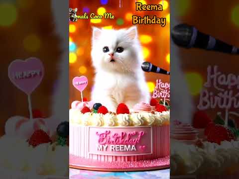 HAPPY BIRTHDAY REEMA HAPPY BIRTHDAY SONG WITH NAMES Adorable Cute Cat Happybirthday Cats 