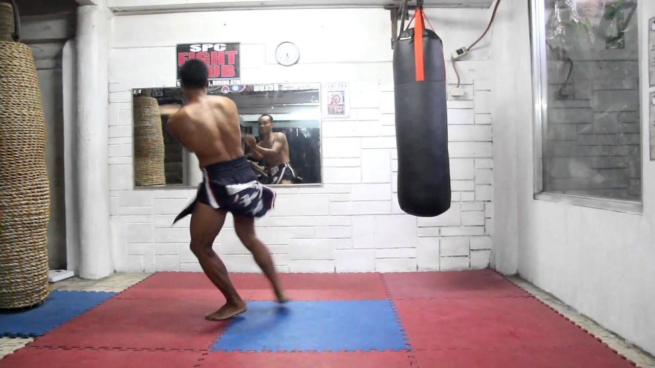 Roel "kamagong" Rio: Yaw-Yan Fervilleon Black Falcon Demo