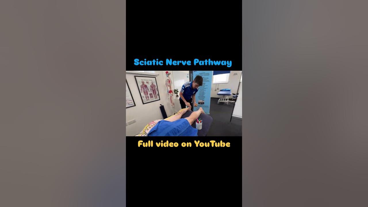 Where Does The Sciatic Nerve End In The Foot