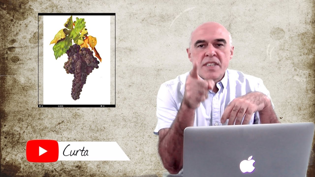 Tempranillo, Tinta Roriz, Aragonez...