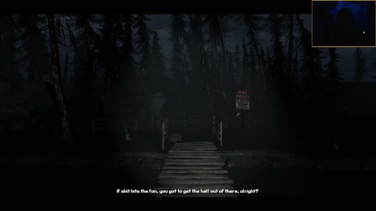 Within Skerry Playthrough