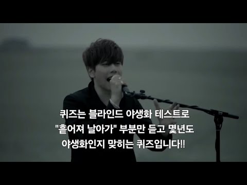 찐 박효신 덕후 테스트 블라인드 야생화 테스트