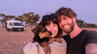 We adopted a puppy, got fined and got into a fight! Vanlife Morocco