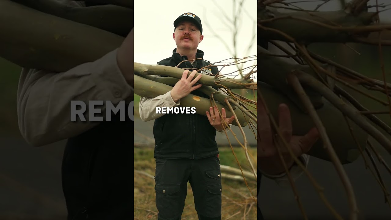 Mountain View Tree Service video ad thumbnail