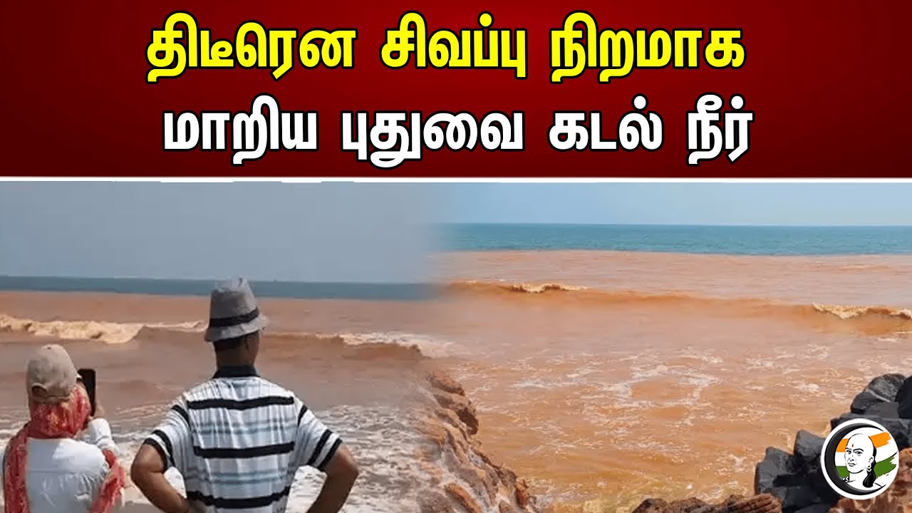 திடீரென சிவப்பு நிறமாக மாறிய புதுவை கடல் நீர் | Pondy Ocean |  Chanakyaa News |