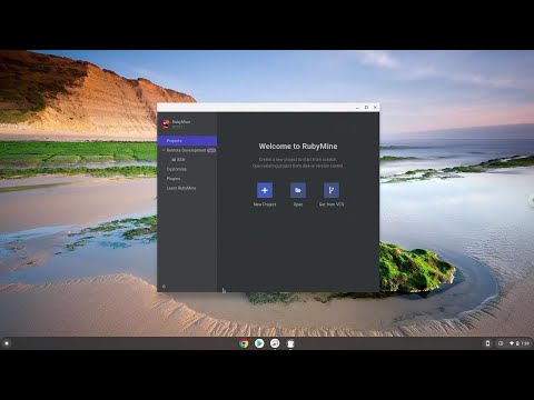 How to install RubyMine 2022 on a Chromebook