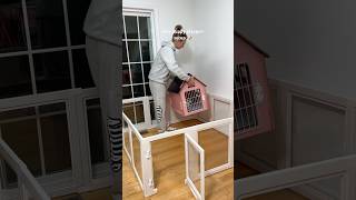Download Lagu new pup playpen setup 🥹🐶 #shorts #puppy #play #dog #asmrsounds #viral MP3 Download Lagu new pup playpen setup 🥹🐶 #shorts #puppy #play #dog #asmrsounds #viral MP3