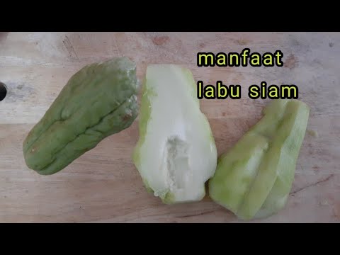 Video: Labu Siam