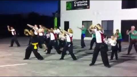 Mantis Kung Fu Academy Video 2