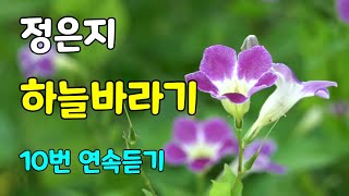 정은지 노래 / 하늘바라기 (자막 포함10번 연속듣기)
