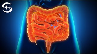 Музыка для детоксикации кишечника - Частота исцеления тонкого кишечника