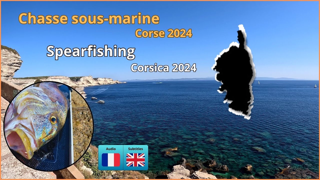 Chasse sous-marine Corse 2024 Partie 1