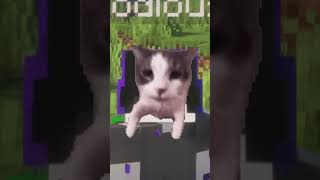 India 🇮🇳 vs Pakistan 🇵🇰 Minecraft SMP is FINALLY HERE! 🔥