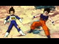 TFS - Vegeta and Goku get hit in the D***!