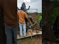 ganesh murti making#shorts#ganeshchaturthi