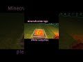 Minecraft logic just thinks 🥀 #minecraft #ternding #shorts