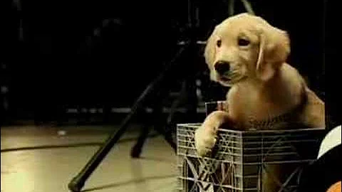 Mitchel Musso- Lean On Me(Official Music Video)