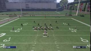 Madden NFL 17.       BEST INTERCEPTION EVER!!!!!!!!!!!!!!!