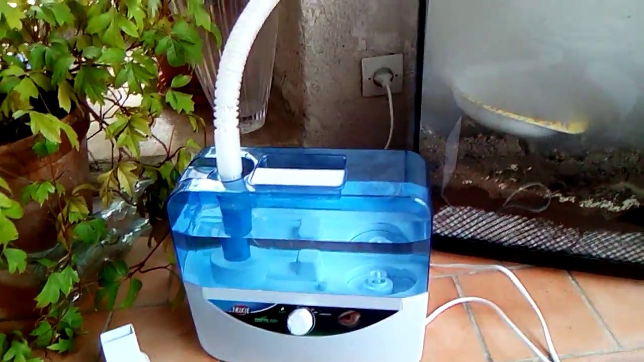 Brumisateur fogger xL trixie YouTube