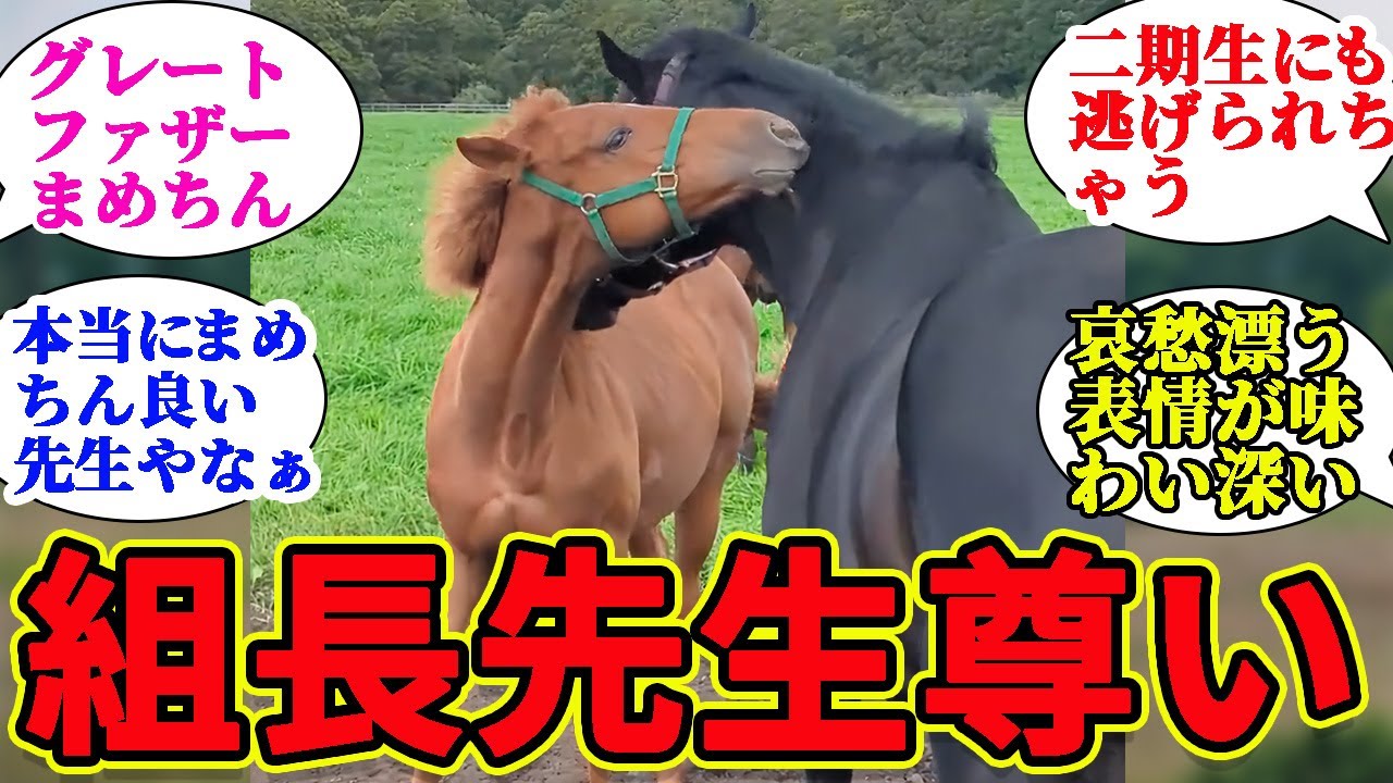 まめちん先生は一生懸命頑張ってます！に対するみんなの反応集