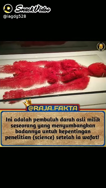 Unik story WA Instagram tiktok 30 detik lucu unik keren menarik cantik imut seksi ukhty
