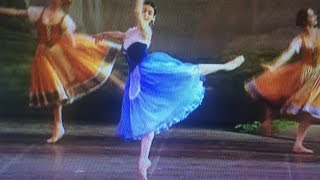 ferri gizel  murru lana del rey  summartimesadness  フェリ ジゼル ラナデルレイ