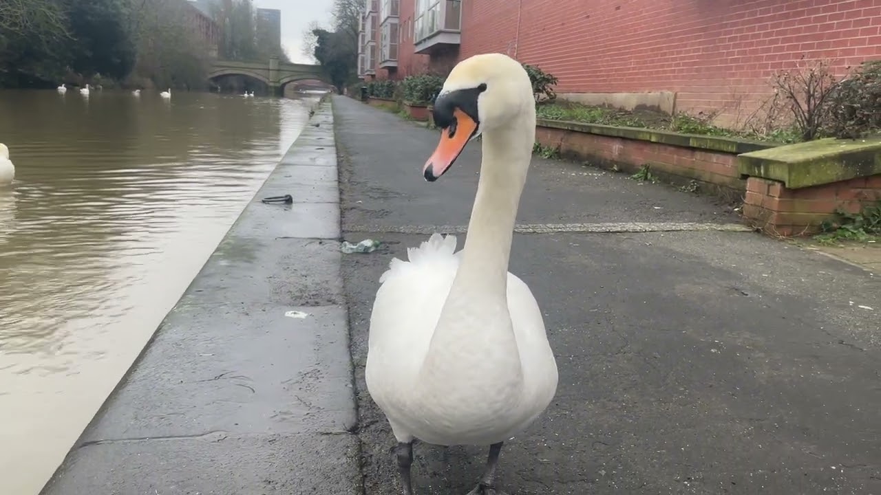 9. februára 2026. Ráno v parku
