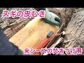 スギの皮むき の動画、YouTube動画。