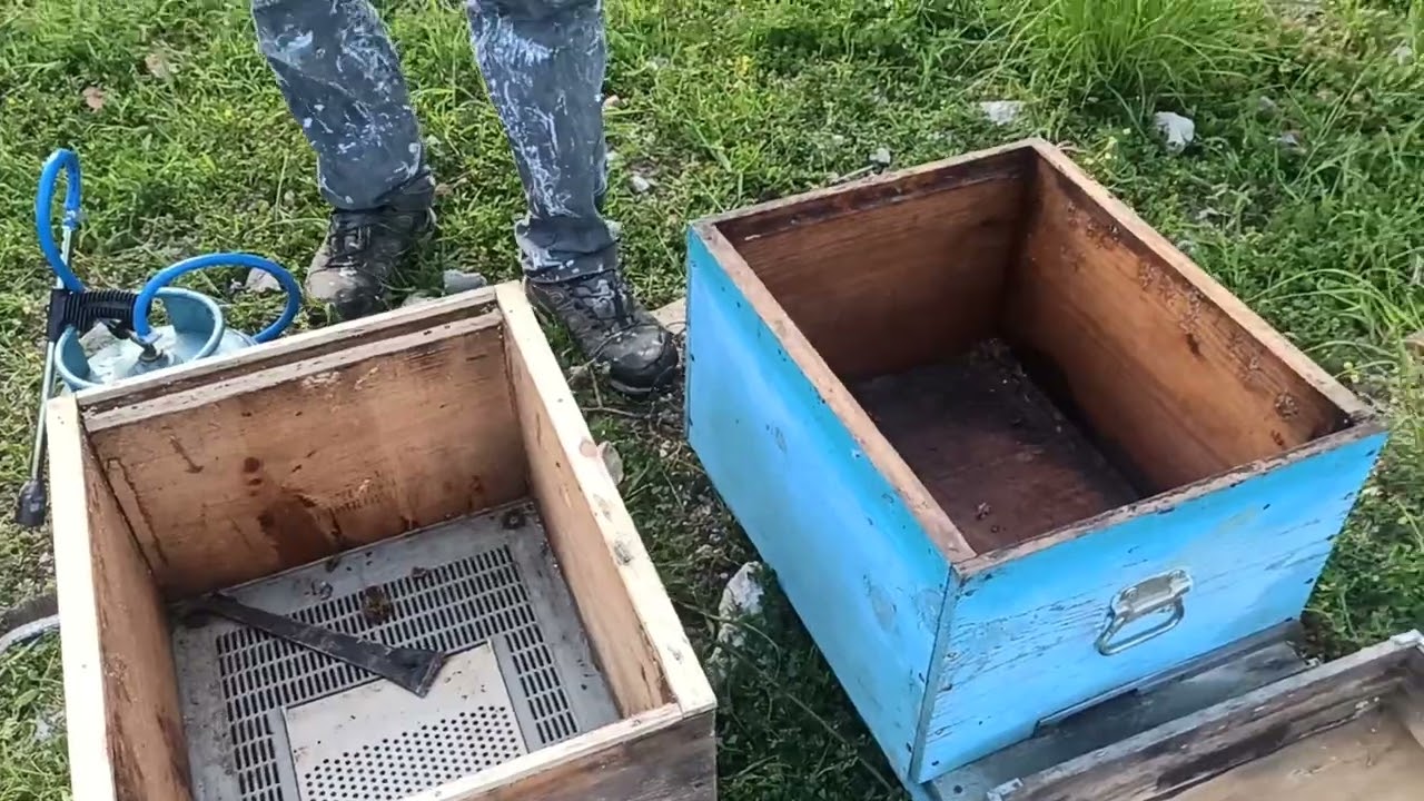 Arı Kovanı temizleme dezenfeksiyon #arıcılık #aricilik #bee #workerbee #beekeeper