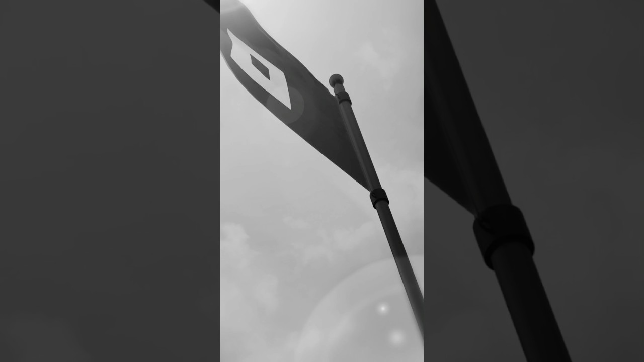 Not Pixel залистились на DEX | Ston.fi и DeDust 