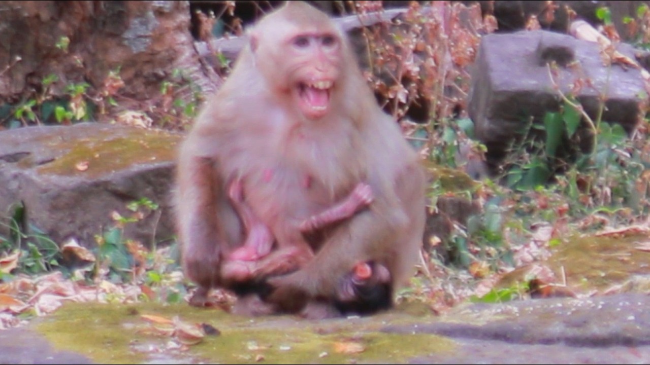 Congratulations Brendy Just Gave Birth To Lovely Baby Boy