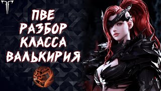 ПВЕ РАЗБОР И ГАЙД НА КЛАСС ВАЛЬКИРИЯ (ВОЛЯ ПАЛАЧА) ►LOST ARK ONLINE ► PVE GUIDE SLAYER