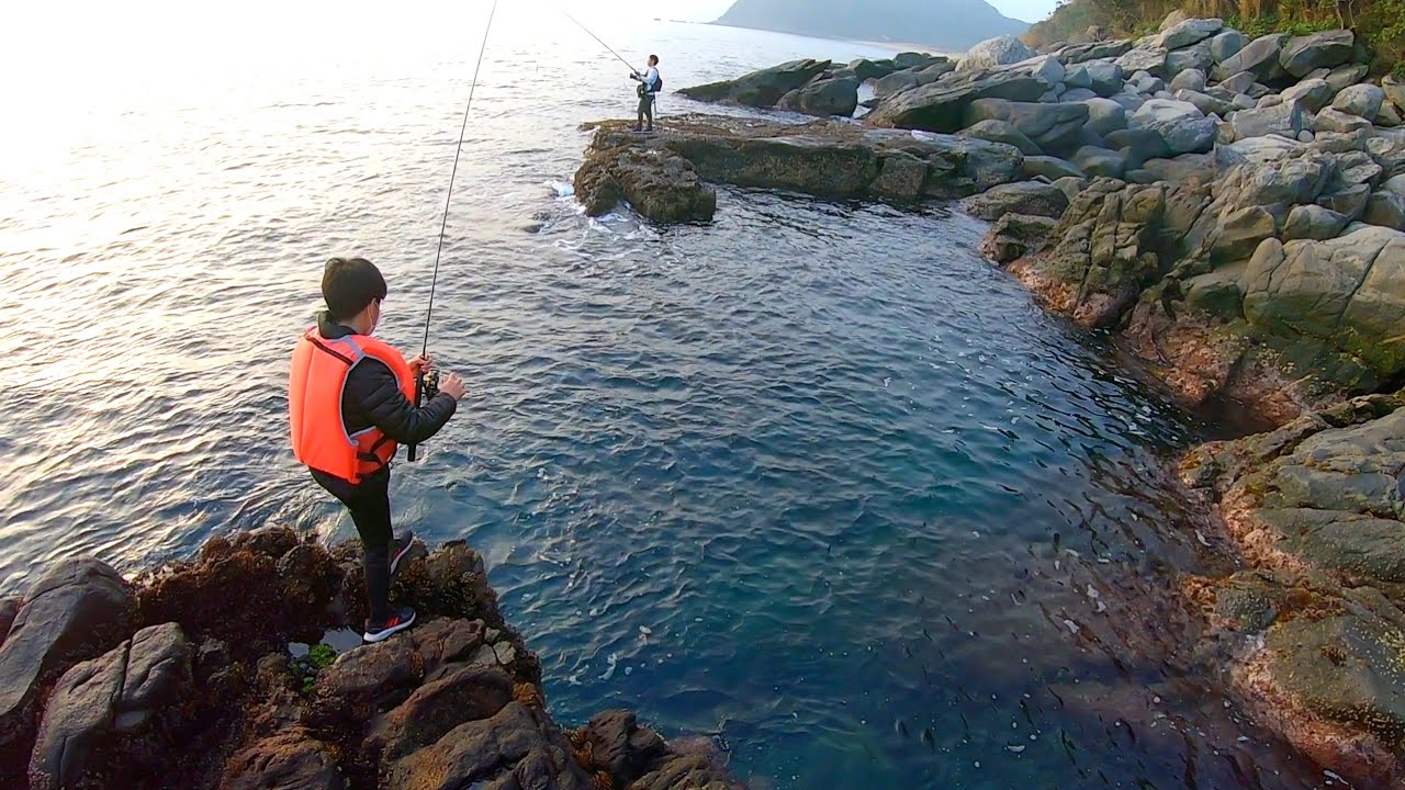 磯で投げても釣れない時はこんなメタボを狙います・・・