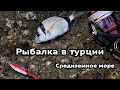 Поиск мест и первые пробы морской рыбалки в Турции. Рокфишинг в Алании