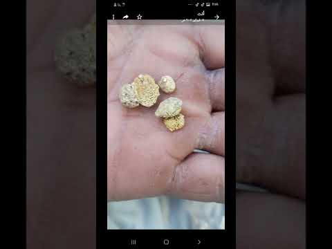 شذرات الذهب الخام
