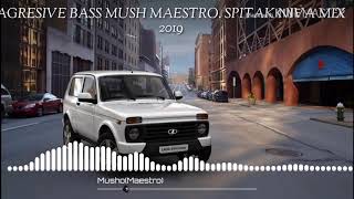 Spitak niva mix 2019 #2  (MUSHO MAESTRO  FT  AGRESICE  BASS)