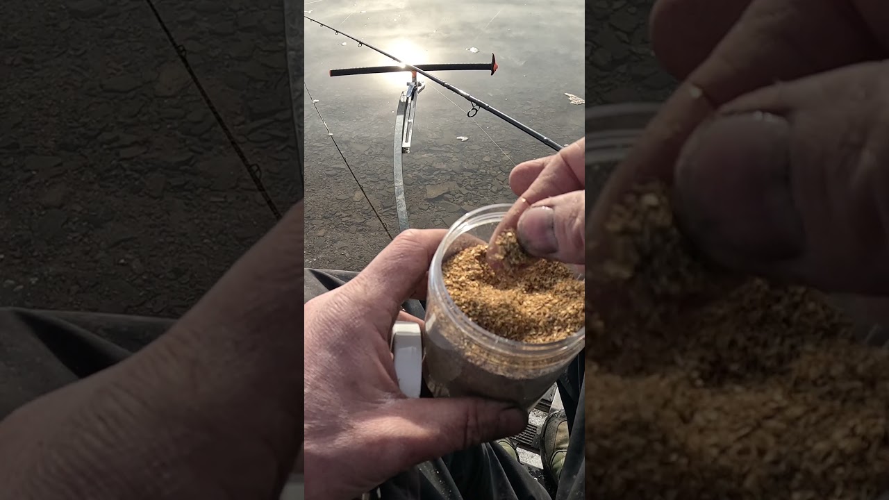 Ma Technique Secrète pour améliorer son Amorce de Pêche au Coup 🎣🤫 