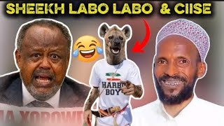 Sheekh Labo Labo Oo Ciise Qasiido Kusoo Karbaashay