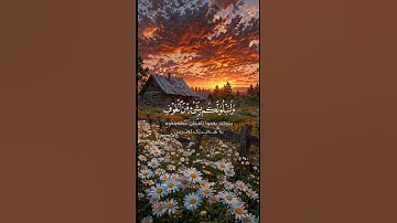 ارح سمعك و قلبك 🤍 قرآن كريم 🤍 اكتب شيئا تؤجر عليه 🤍