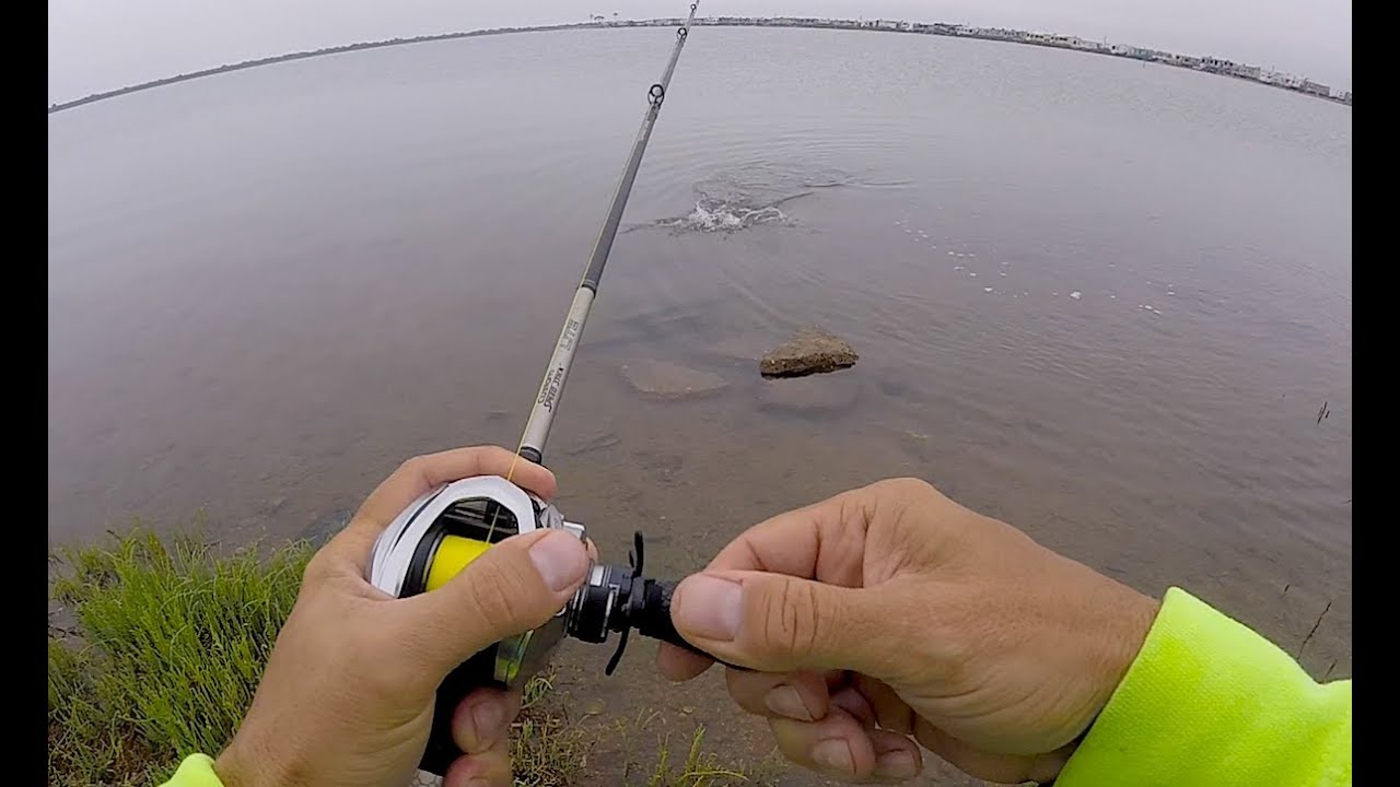 HOLY WOW || I CAUGHT A UNICORN!! || A first for me...