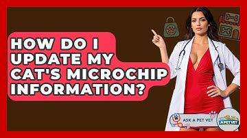 How Do I Update My Cat