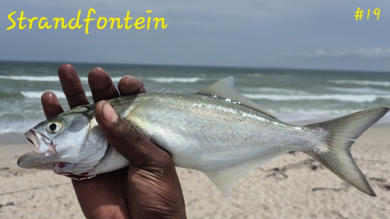 Рыбалка на Страндфонтейн, Брокен Роуд | Фолсбей Шэд