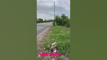 Cần bán nhanh DT 1 công giá 100 triệu 1 mét ngang thuộc huyện Đức Huệ tỉnh Long an lh 0819259737