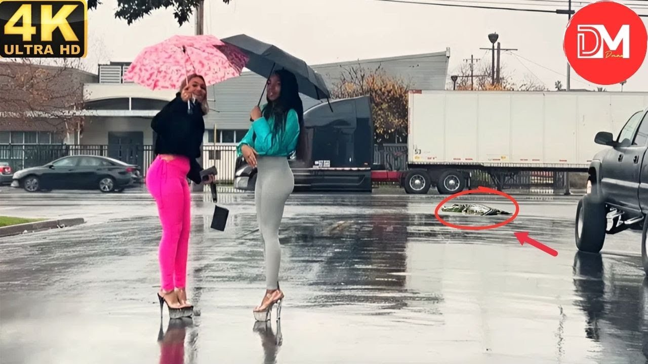 TOTAL IDIOTS AT WORK | Instant Regret Fails Compilation 2025 