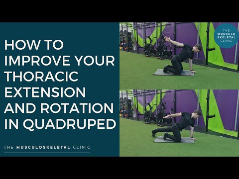 Video: quadruped extension rotation