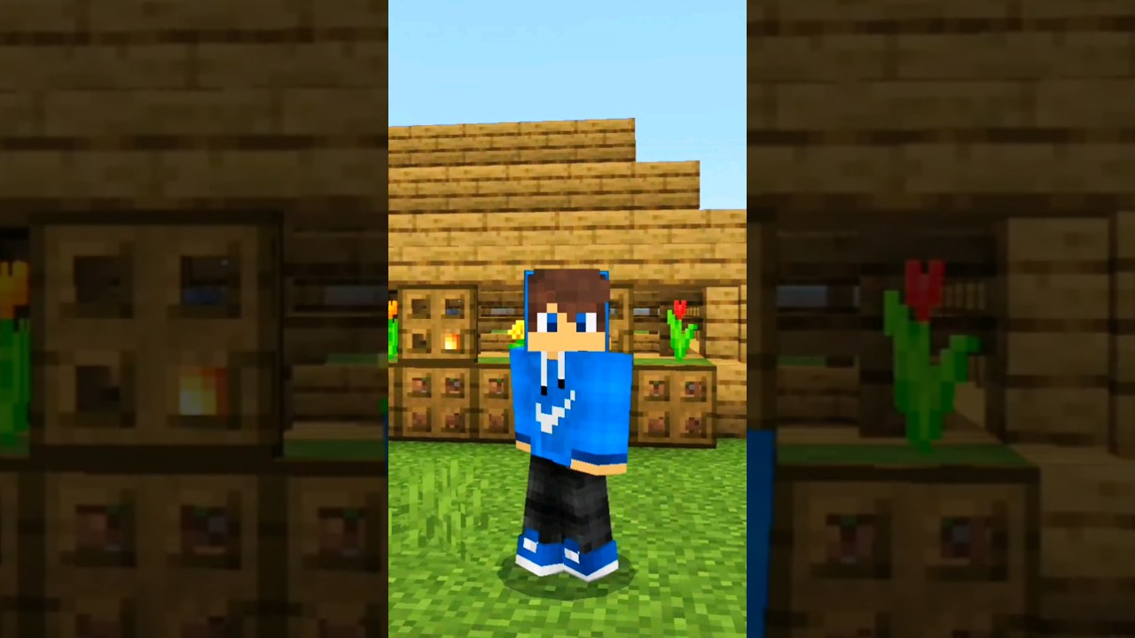 NOOB VS PRO battle on minecraft 