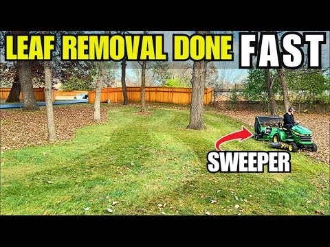 Best Leaf Vacuum Service Near Me